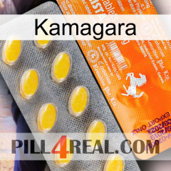 Kamagara new05